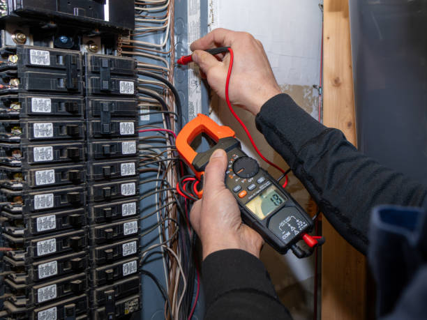 Best Electrician for Home Renovation  in Portales, NM
